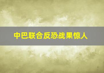 中巴联合反恐战果惊人