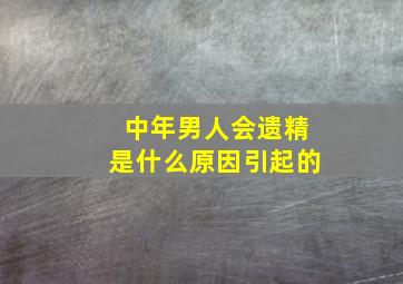 中年男人会遗精是什么原因引起的