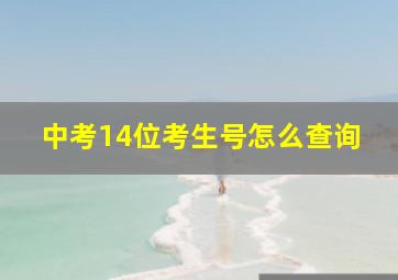 中考14位考生号怎么查询