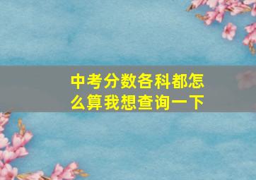 中考分数各科都怎么算我想查询一下