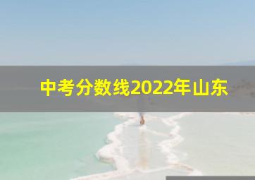 中考分数线2022年山东