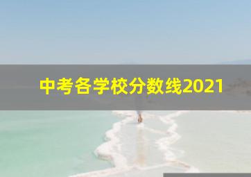 中考各学校分数线2021