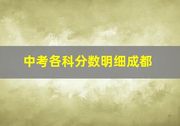 中考各科分数明细成都