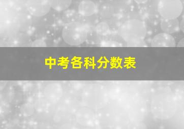 中考各科分数表