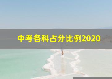 中考各科占分比例2020