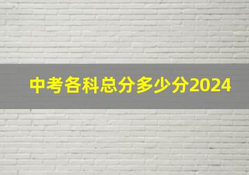 中考各科总分多少分2024