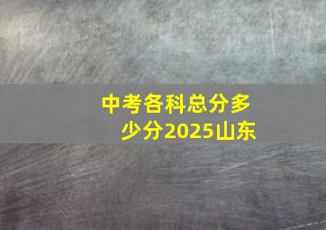 中考各科总分多少分2025山东