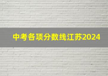 中考各项分数线江苏2024