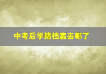 中考后学籍档案去哪了