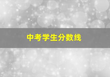 中考学生分数线