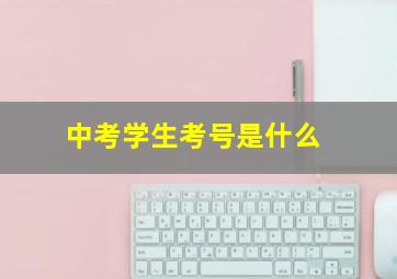 中考学生考号是什么