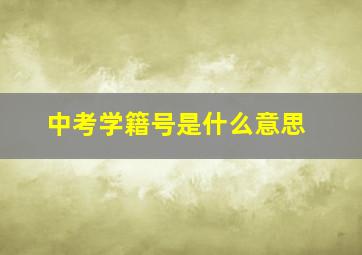 中考学籍号是什么意思