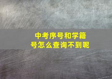 中考序号和学籍号怎么查询不到呢