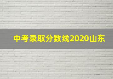 中考录取分数线2020山东