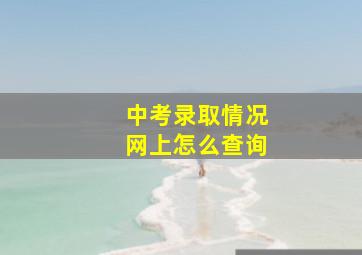 中考录取情况网上怎么查询