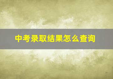 中考录取结果怎么查询