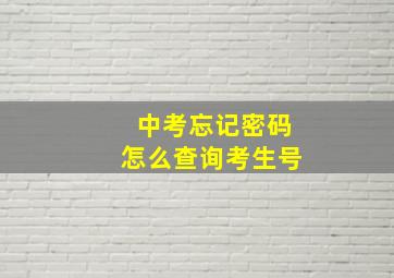 中考忘记密码怎么查询考生号