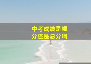 中考成绩是裸分还是总分啊