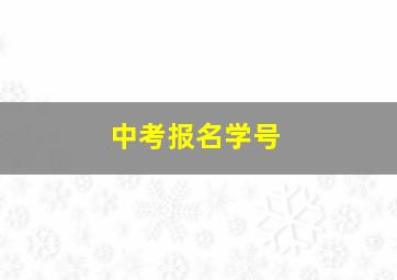 中考报名学号