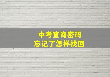 中考查询密码忘记了怎样找回