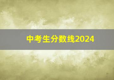 中考生分数线2024