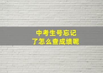 中考生号忘记了怎么查成绩呢