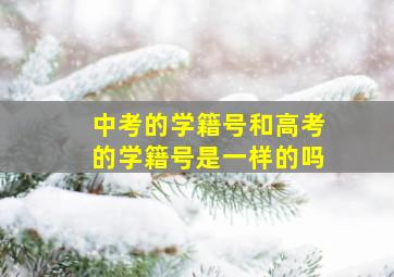 中考的学籍号和高考的学籍号是一样的吗