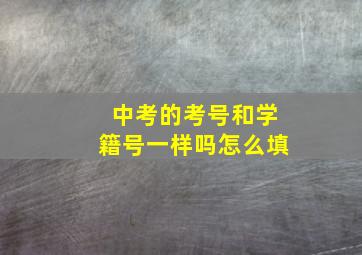 中考的考号和学籍号一样吗怎么填