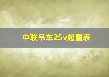 中联吊车25v起重表