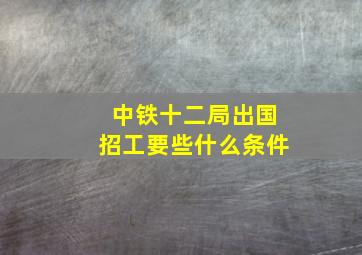 中铁十二局出国招工要些什么条件