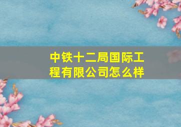 中铁十二局国际工程有限公司怎么样