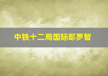 中铁十二局国际部罗智