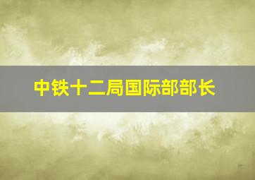 中铁十二局国际部部长