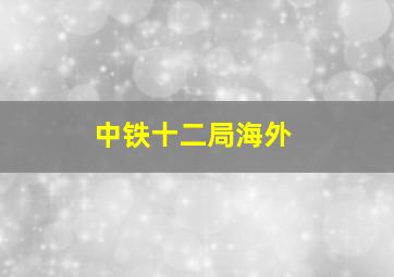 中铁十二局海外