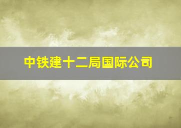 中铁建十二局国际公司