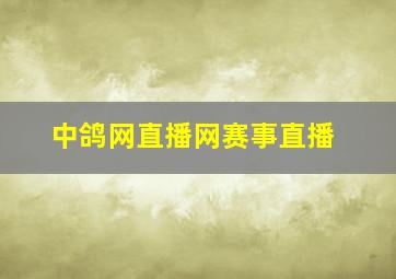 中鸽网直播网赛事直播