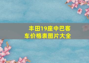 丰田19座中巴客车价格表图片大全