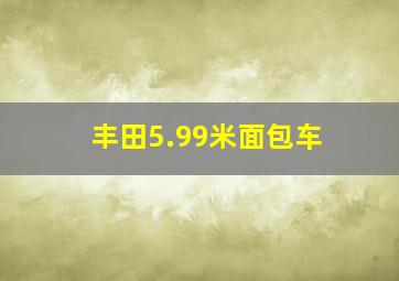 丰田5.99米面包车