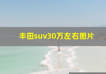 丰田suv30万左右图片