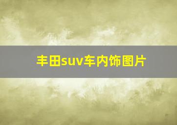 丰田suv车内饰图片