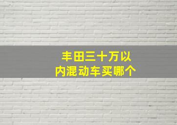 丰田三十万以内混动车买哪个