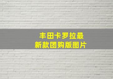 丰田卡罗拉最新款团购版图片