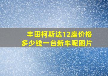 丰田柯斯达12座价格多少钱一台新车呢图片