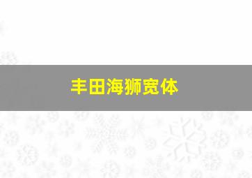 丰田海狮宽体