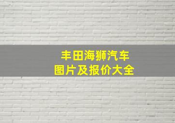 丰田海狮汽车图片及报价大全