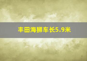 丰田海狮车长5.9米