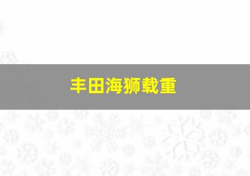 丰田海狮载重