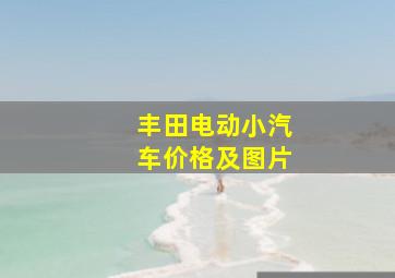 丰田电动小汽车价格及图片