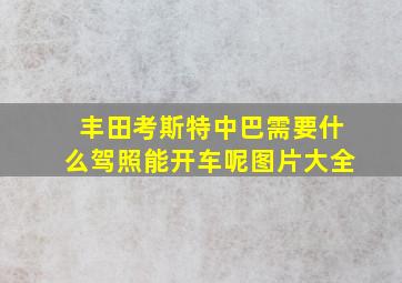 丰田考斯特中巴需要什么驾照能开车呢图片大全