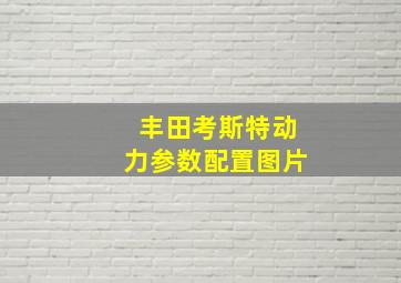 丰田考斯特动力参数配置图片